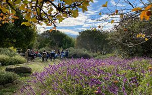 2023-FOOD-AND-FARM-FELLOWS-800x500-Malia-Wollan